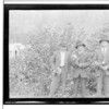 Cqin-a, Qas-gu, Tus-try, Tawu-k-dut-nuk. Four young men standing in undergrowth, all holding flowers. All in modern dress. Ca. 1918. Haines, Alaska.