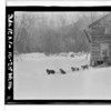 Chilkat River Area - L. Shotridge? Dog Sled with Boy in front of house - March 16, 1923