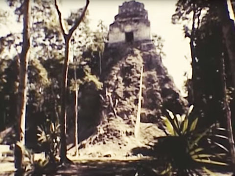 Tikal Project - 1956-1962 Tikal Pyramids thumbnail.