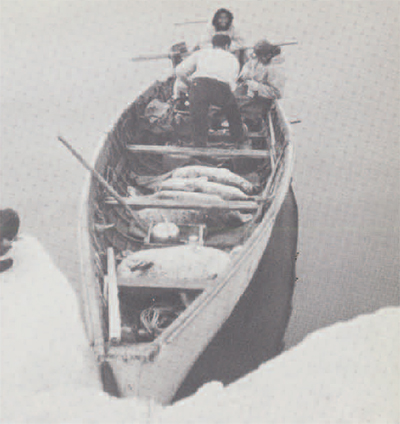 photo of the boat