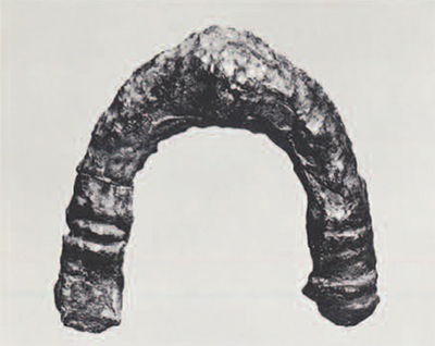 Part of a bronze fibulae.