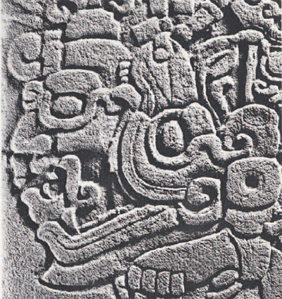 Close up of carving of a jaguar-jawed god, seen in profile.