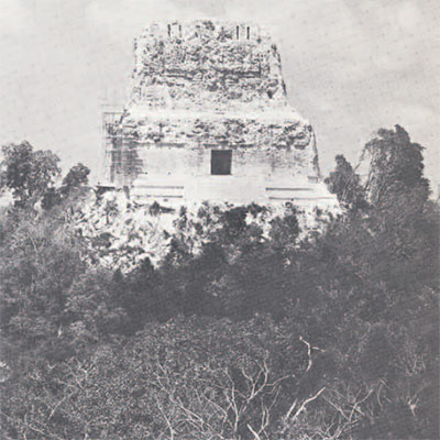 The top of a temple rising above the jungle tree line.