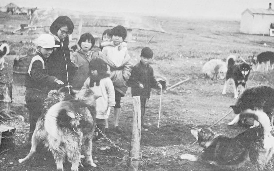 The new crop of Eskimo children at Point Hope with one of the dog teams now being replaced with snowmobiles. The skin boat in the background is still used for whale hunting.