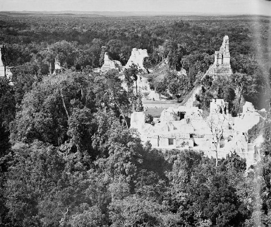 Photo of Tikal