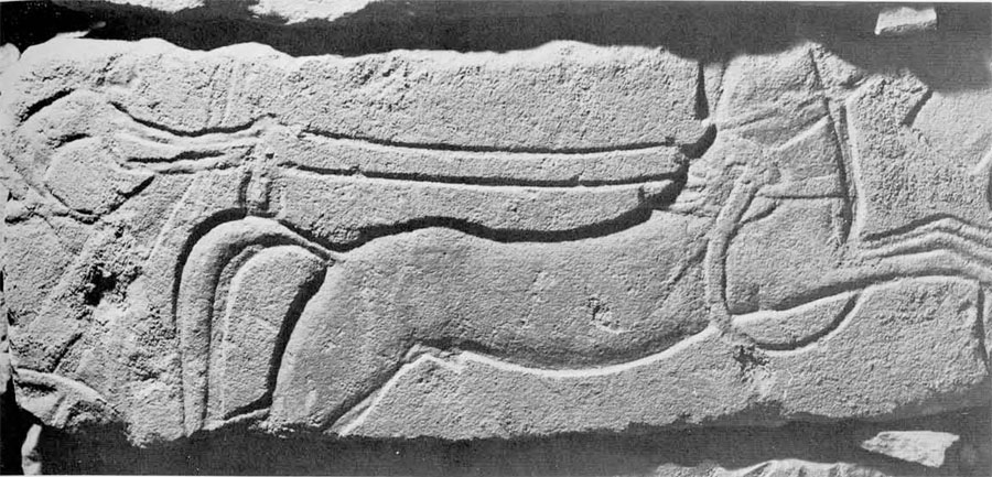 A relief of a horse pulling a chariot.