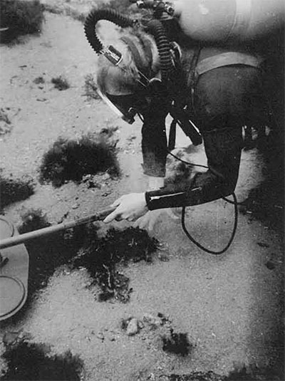 Lt. George C. Carswell, III, leader of the U.S. Navy diving team, probes the wreck area with a metal detector in search of metal object under the sand. 