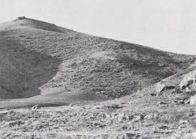 Western edge of the Qalatgah site lies on lower slope of nearby mountain (left) . The seal was found along with sherds in the low rise in the right center of the photograph. 