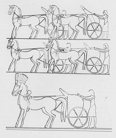 In this relief from Amarna the chariot of Akhenaten (whose reign ended about two years before that of Tutankhuamun began) is shown in the lowest register. In the upper registers, the chariots of pharaoh's attendants are depicted. All clearly show stone saddle bosses and yoke terminals, paralleling those identified at Beth Shan.