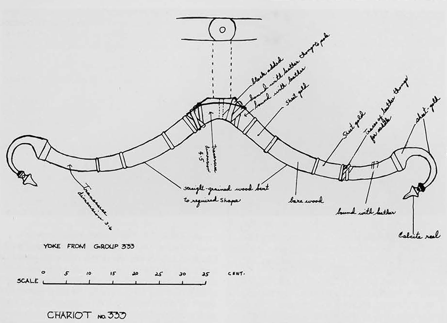 A superb draftsman, Howard Carter made this scale drawing of the yoke of one on Tutankhamun's chariots in 1923 when the tomb was first opened. His records of the discovery are now at the Griffith Institute, Oxford. 