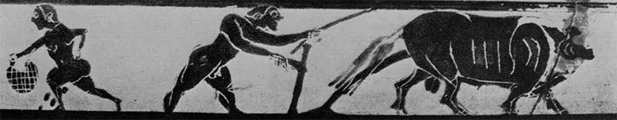 Sowing and Ploughing on an Attic black-figure cup in the British Museum, 3rd quarter of VI century  B.C., F. Chamoux, La civilisation grecque, fig. 134.