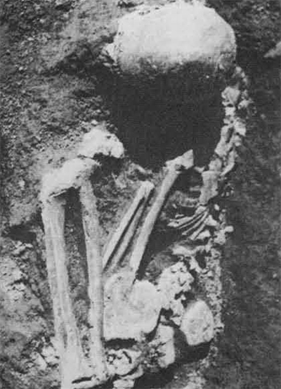 Skeleton No. 3. 
