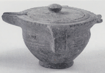 A small spouted cup with a lid and one vertical handle. This unusual shape is found only Pseira, Gournia, and the Cycladic island of Kea. The group may have all been made at Pseira. 