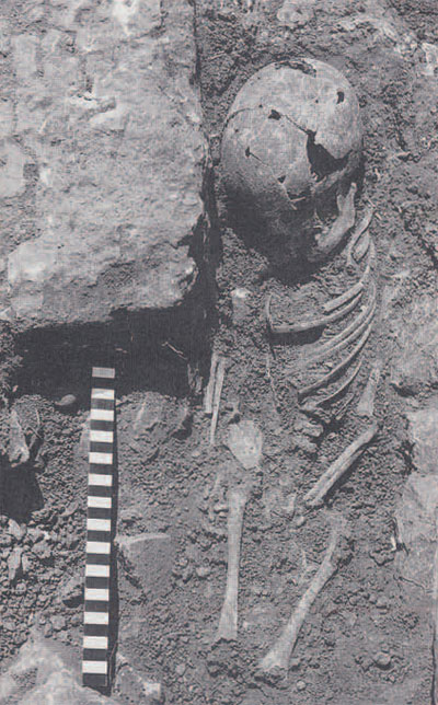 Figure 3. Skeletal remains of the child found trapped in earthquake debris in a cleft in the retaining wall (T20) separating the Lower from the Middle Sanctuary.