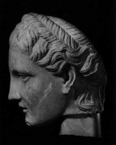 Fig. 5. The Hope Head, proper left profile. Note the ear partly covered by the hair, the wavy strands along the neck, and remains of a second braid above the first.