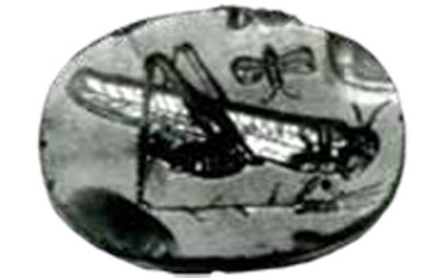 Sard scarab engraved with a grasshopper on an ear of corn, and a butterfly..