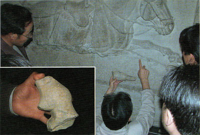 Archaeologists matching an excavated hoof fragment to one of the Beilin Museum horse reliefs. Inset: Another excavated fragment shows individual hairs. 