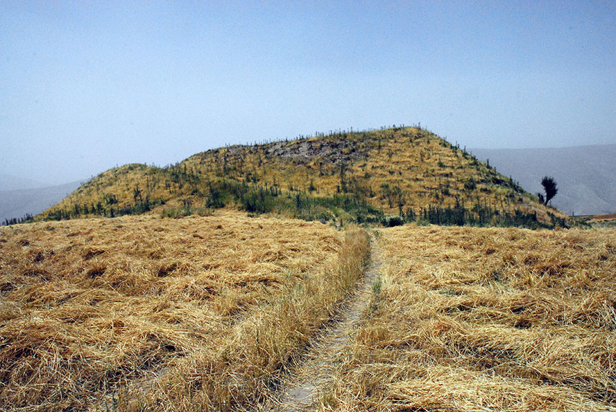 RAP conducted excavations at the mound of Gird-i Dasht.