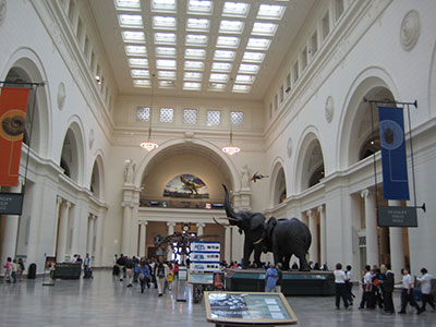 Main Hall, Field Museum of Natural History, Chicago