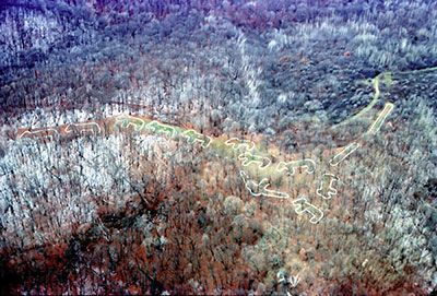 Aerial and ground level images of the Marching Bear Mound Group at Effigy Mounds National Monument, which consists of ten bear effigies, three bird effigies (two are not visible in the aerial photograph), and two linear mounds built along a ridge overlooking the Mississippi River. Images courtesy of the National Park Service, Effigy Mounds National Monument staff photo.