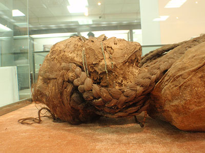 Profile photo of the head and shoulders of a preserved body.