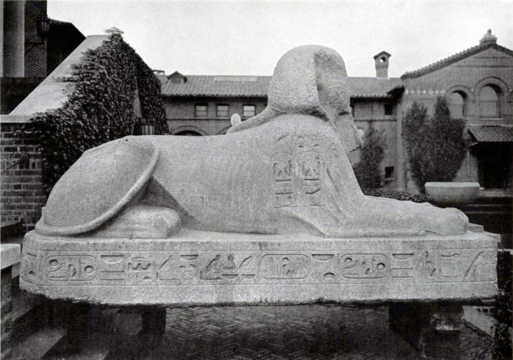 The Sphinx of Ramses II in the Museum courtyard from the side