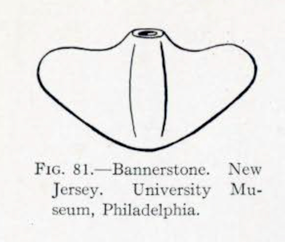 Drawing of a bannerstone with very rounded wings