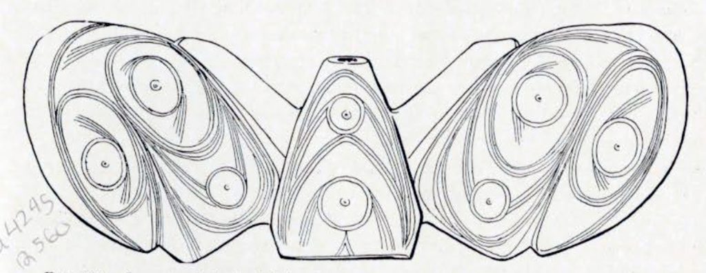 Drawing of a carved symbol of a whales tail with many touch swirls