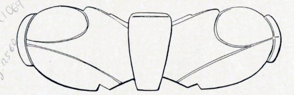 Drawing of a carved symbol of a whales tail