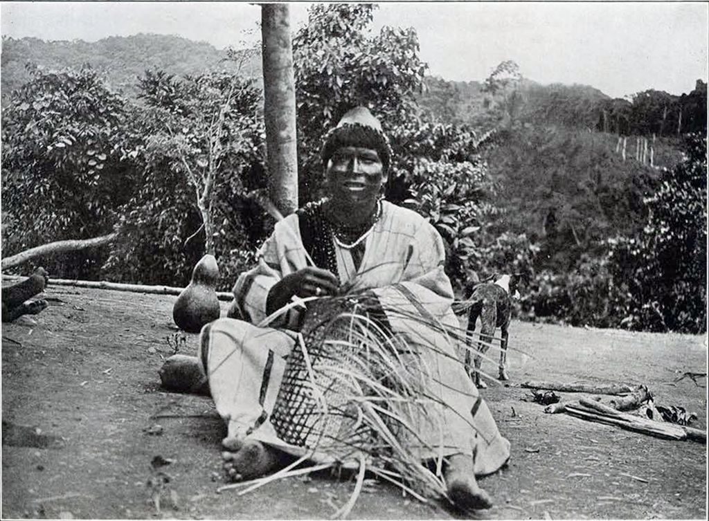 Macoa weaving a basket