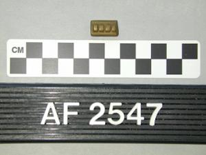 AF2547