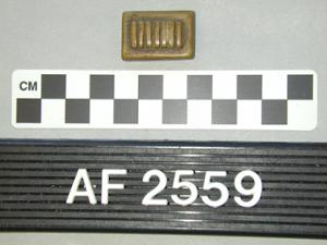 AF2559