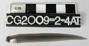 CG2009-2-4