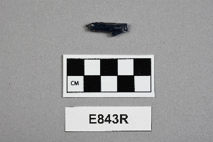 E843R