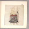 War Helmets and Clan Hats of the Tlingit Indians by Louis Shotridge The Museum Journal Vol. 10, Nos. 1-2