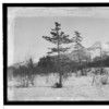 Mountain scene, Lower Chilkoot. Ca. 1919.