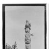 Wrangell - Pole in undergrowth -  June 10, 1924