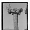 Wrangell - Pole, Mortuary - June 10, 1924 - Fantastic