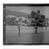 Sitka, View of Houses and Shrubbery in Snow - December 11, 1923