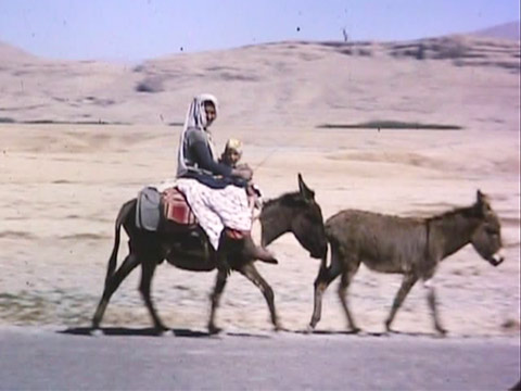 Iran 1963 Reel 10 of 25 thumbnail.