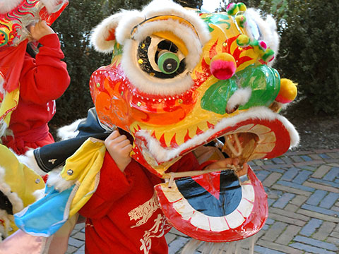 Chinese New Year Celebration thumbnail.