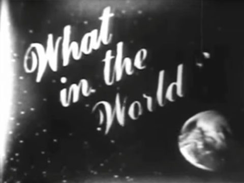 What in the World - Part One by Pablo Helguera thumbnail.