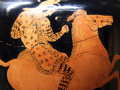 Amazons: Warrior Women in Myth, Art, and History thumbnail.