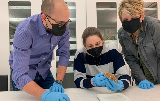 Three student curators in a lab, wearing latex gloves, and handling an old seashell.