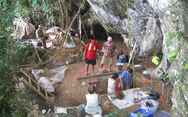 An excavation team working in a pit in the jungle.