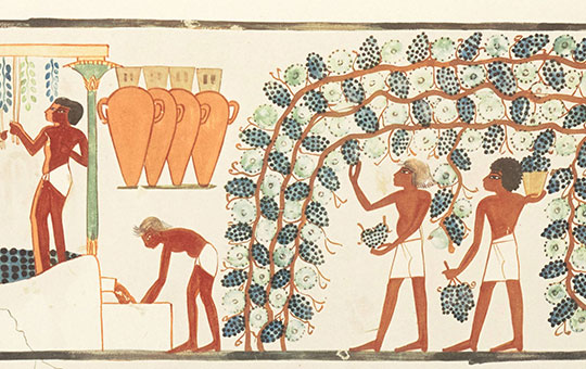 Ancient depiction of winemaking.