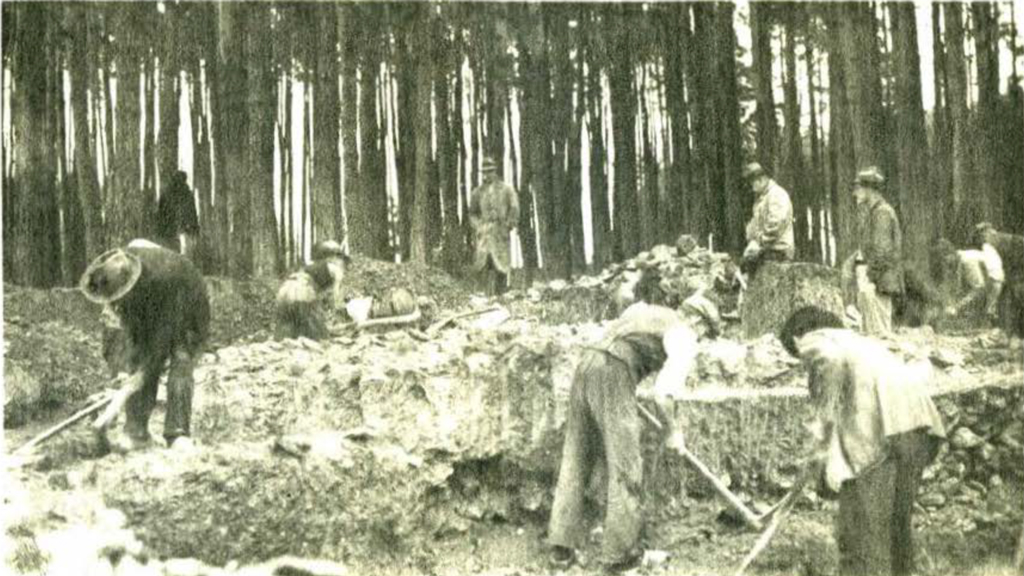 People excavating in the woods