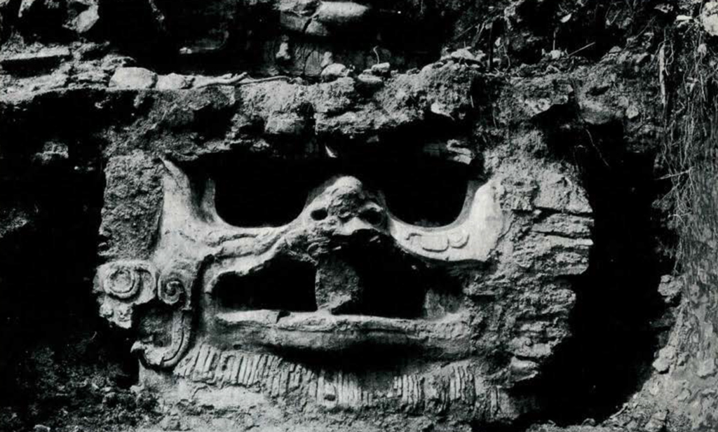 Stucco head embedded in a ruin