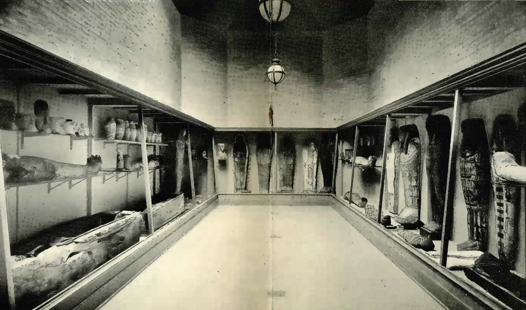 View of a gallery with mummies lining the walls