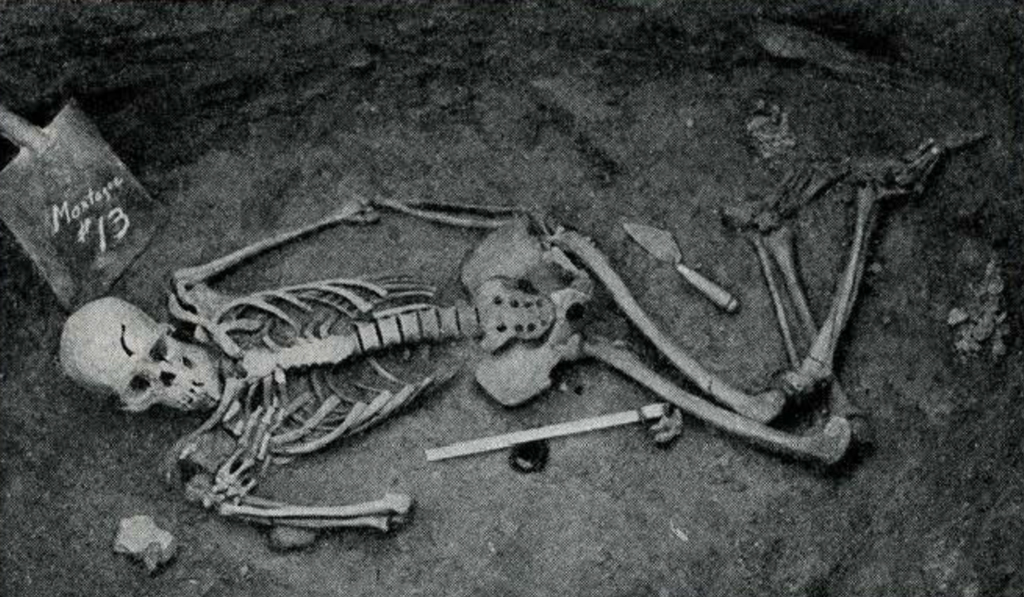 A skeleton in an excavated grave and a shovel with 'Montague 13' on it